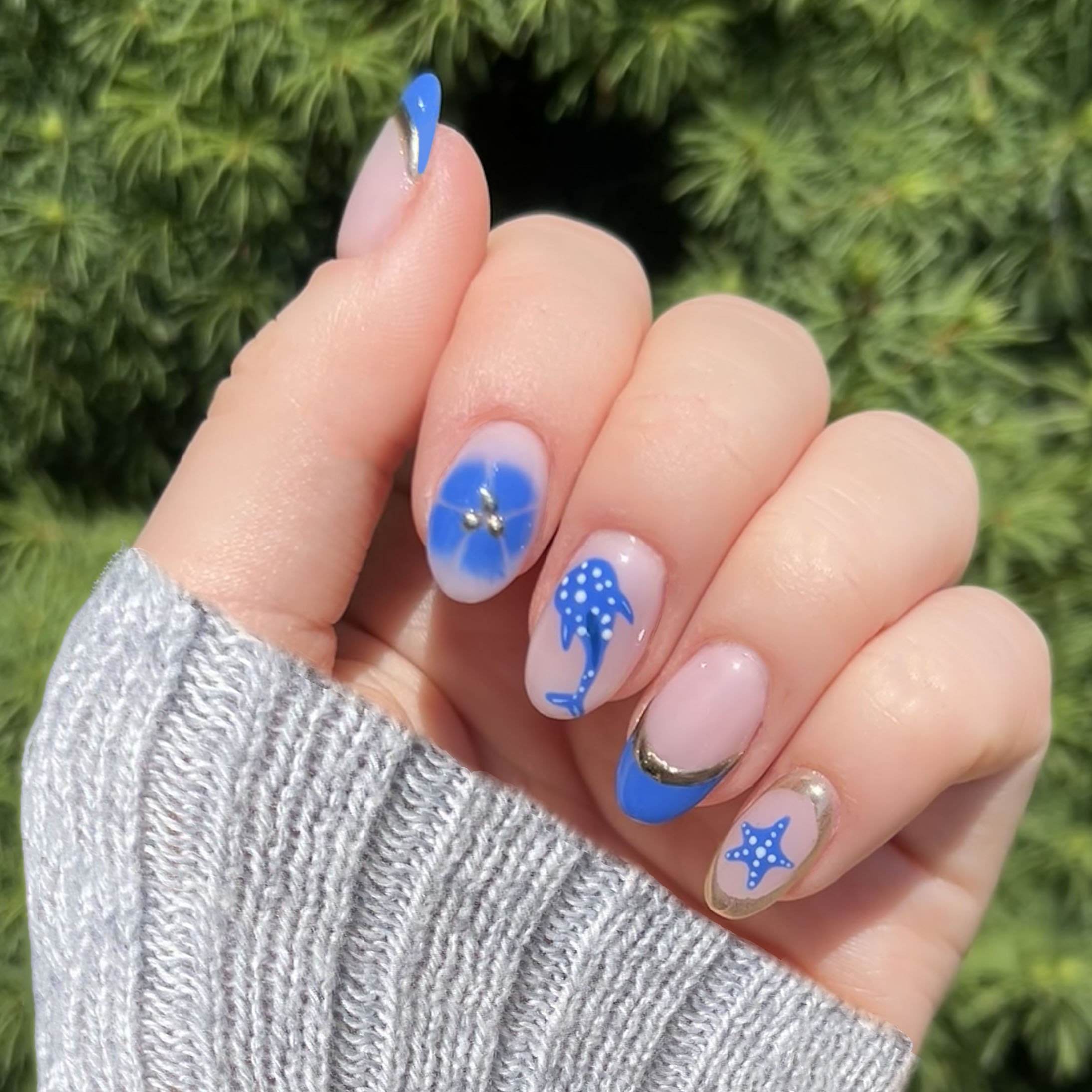 Blue and Gold Whale Shark